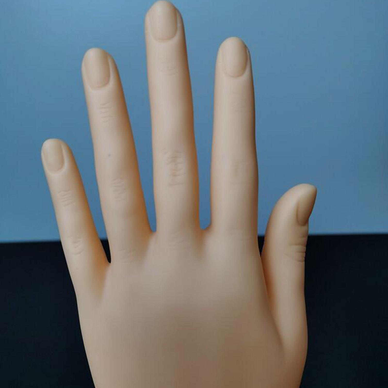 Durable Plastic Mannequin Hand - Body Jewelry In Store review and price