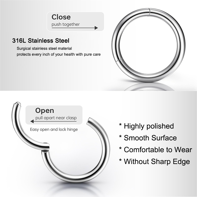 16G 316L Surgical Steel Hinged - Body Jewelry And Earrings review and price
