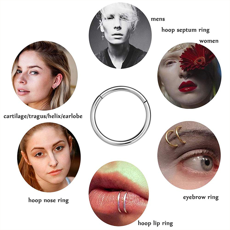 16G 316L Surgical Steel Hinged - Body Jewelry And Earrings review and price