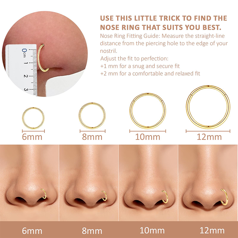 16G 316L Surgical Steel Hinged - Body Jewelry And Earrings review and price
