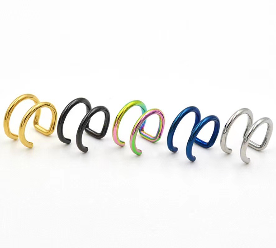 2Pcs 316L Stainless Steel Clip - Body Jewelry And Earrings review and price
