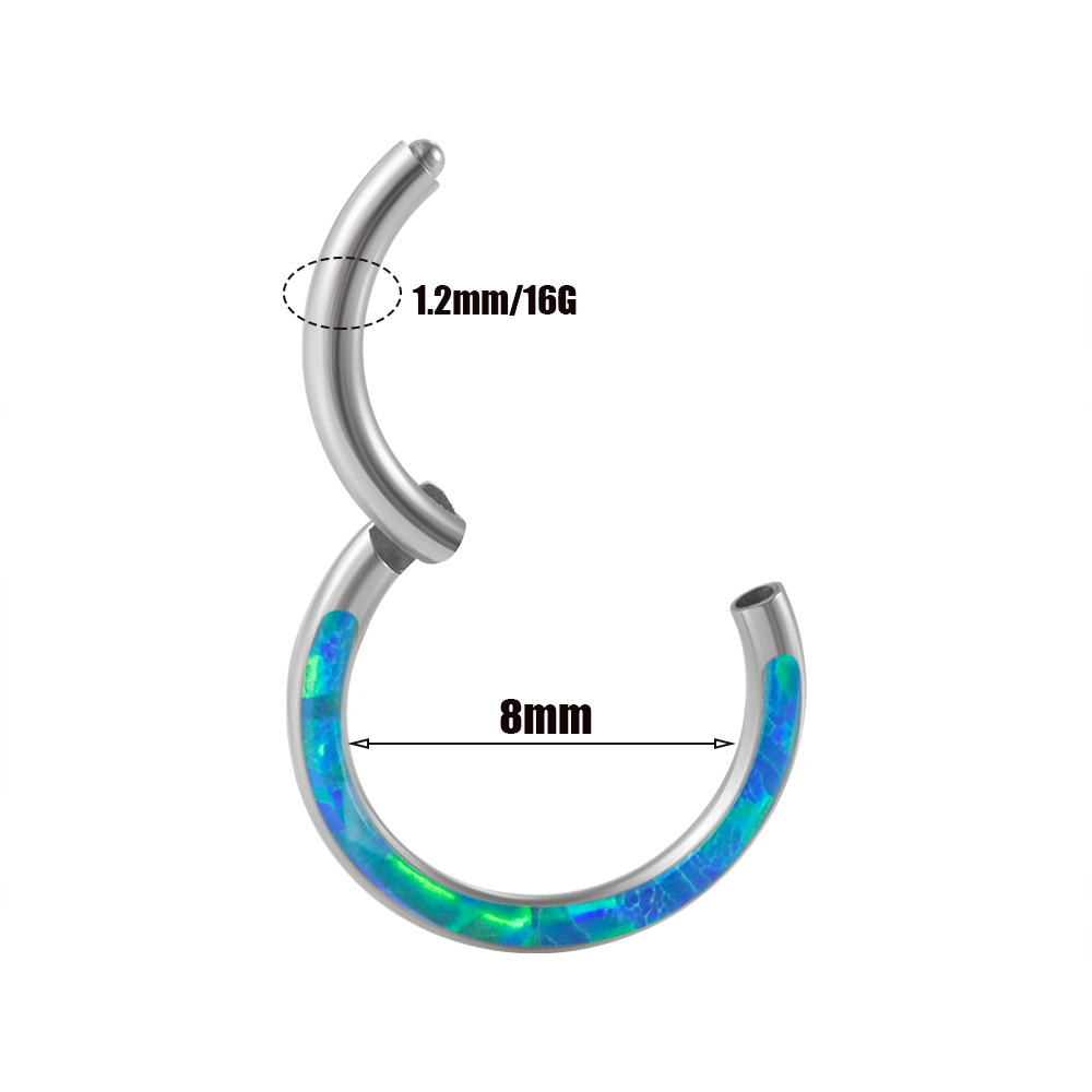 1PC Surgical Steel Opal Hinged - Body Jewelry Quality review and price