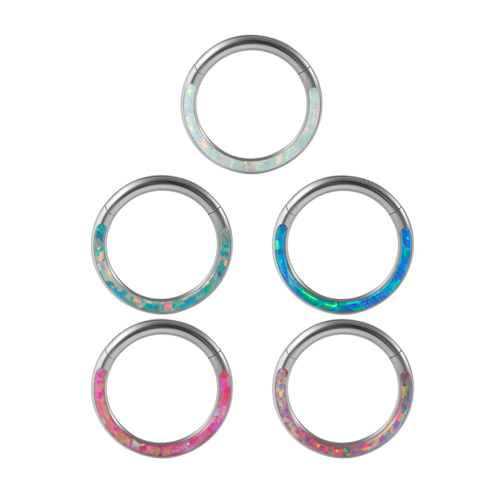 1PC Surgical Steel Opal Hinged - Body Jewelry Quality review and price