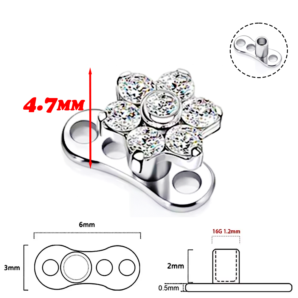 F136 Titanium Alloy High-Quali - Body Jewelry Quality review and price