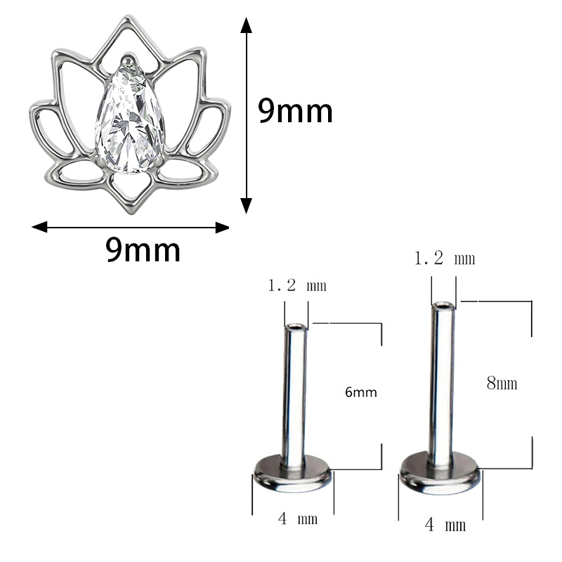 ASTM F136 Titanium Ear PIERC B - Body Jewelry Factory review and price