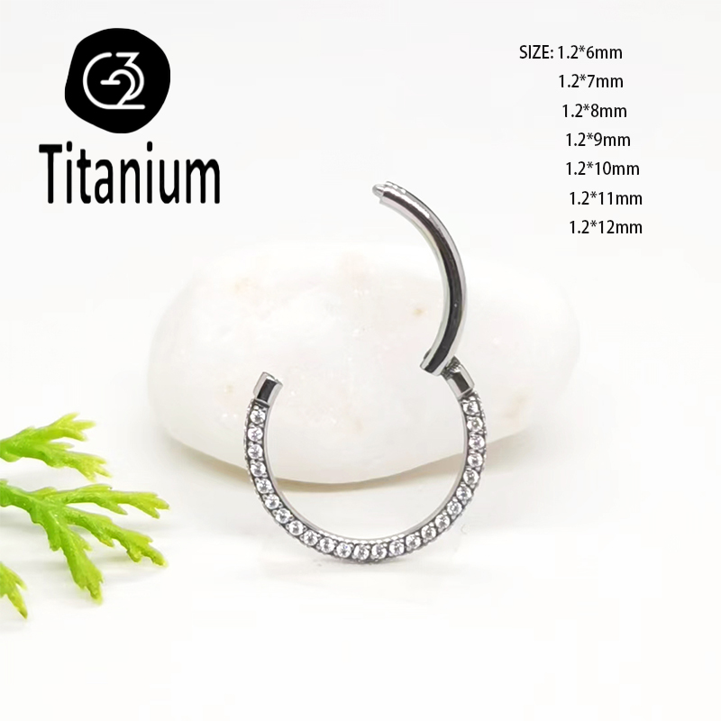ASTM F136 G23 Titanium Piercin - Body Jewelry Quality review and price